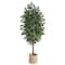 8ft. Ficus Artificial Tree with Handmade Natural Cotton Multicolored Woven Planter